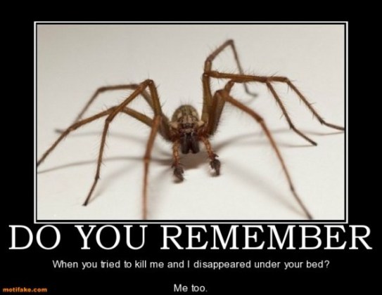 you-remember-spider-revenge-book-bed-kill-demotivational-posters-1343398819